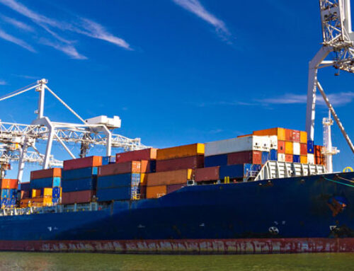 Sea Freight Services UK: Complete FCL & LCL Shipping Solutions